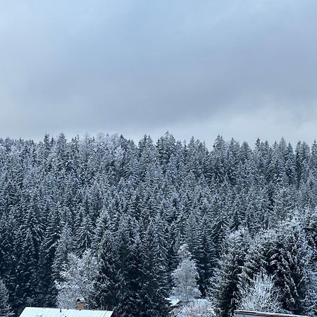 Penzion Verde Rosa Harrachov Kültér fotó