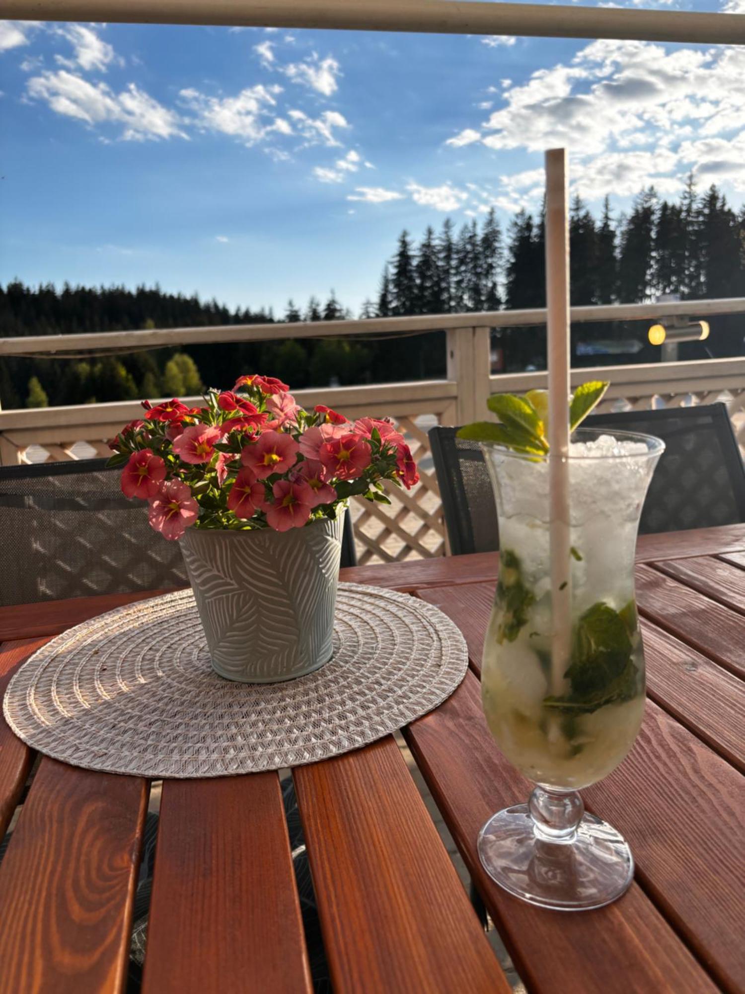 Penzion Verde Rosa Harrachov Kültér fotó