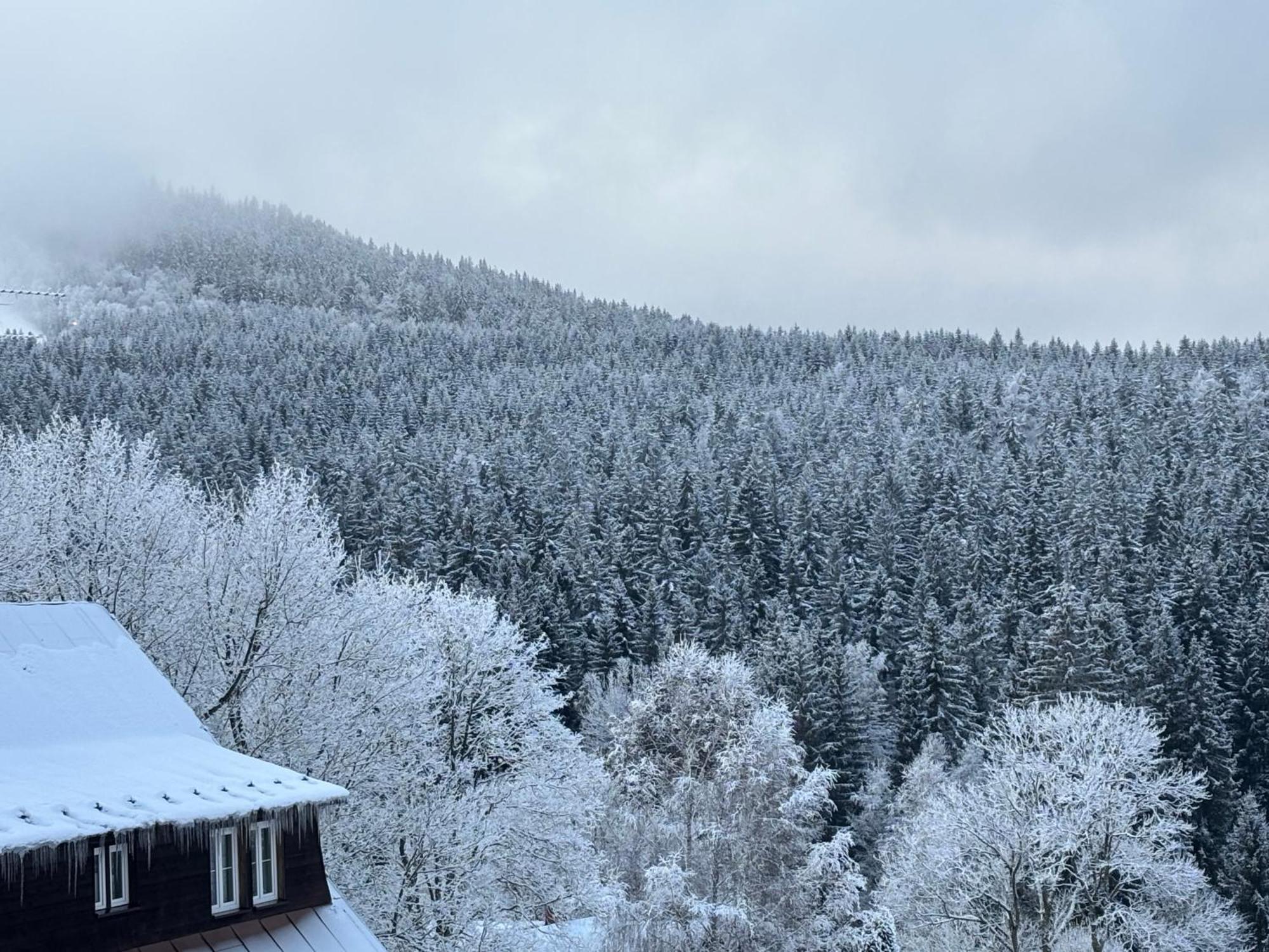 Penzion Verde Rosa Harrachov Kültér fotó